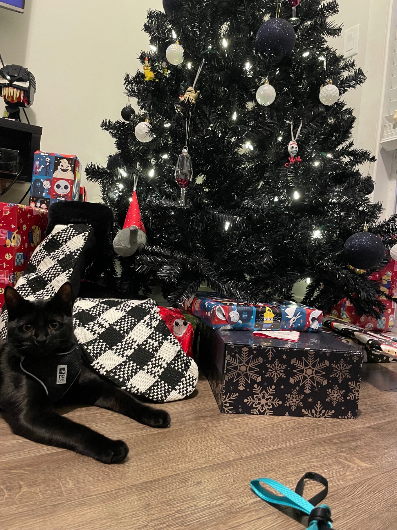Salem lounging by a black Christmas tree with presents