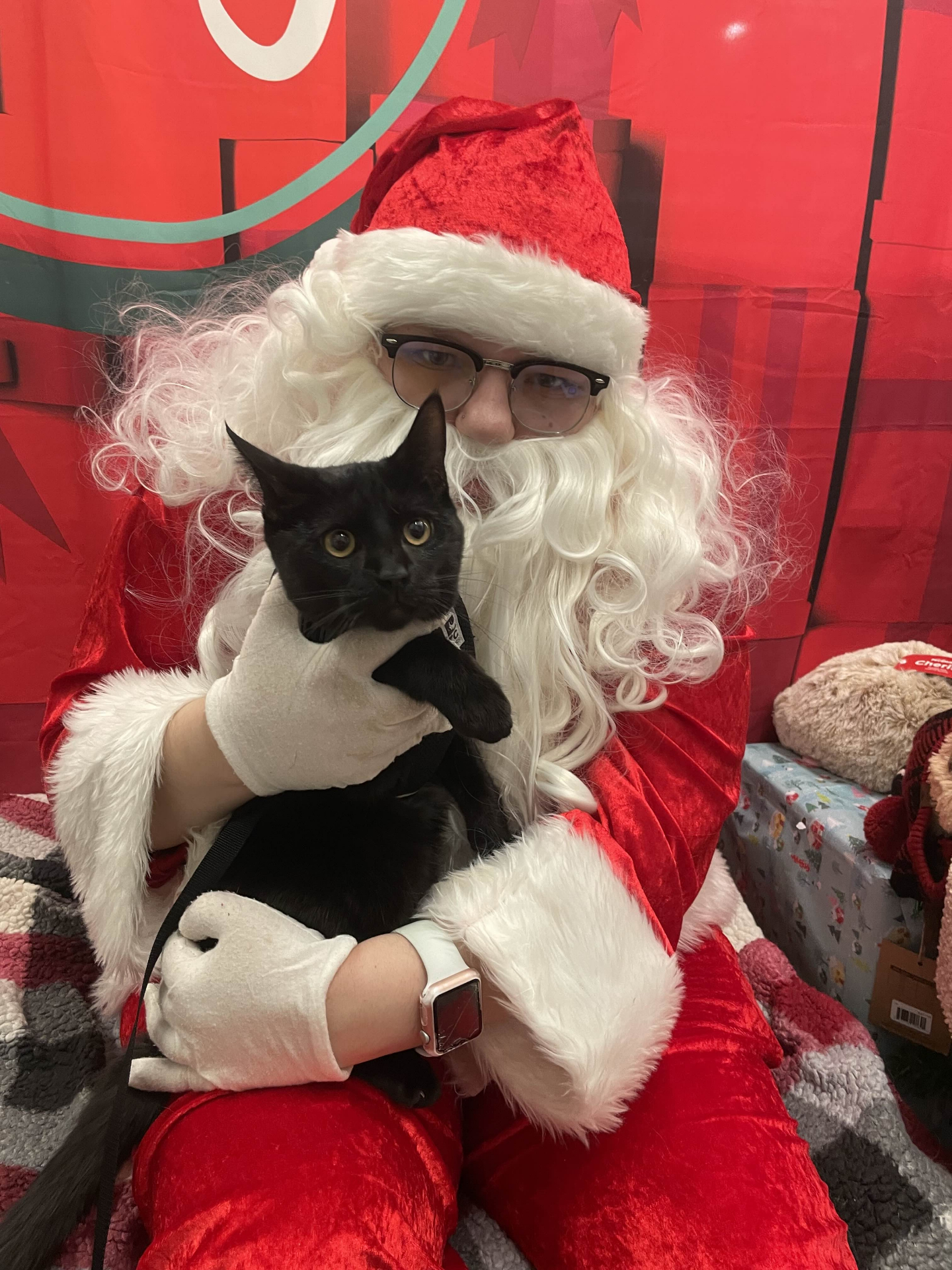 Salem being held by Santa for a holiday photo