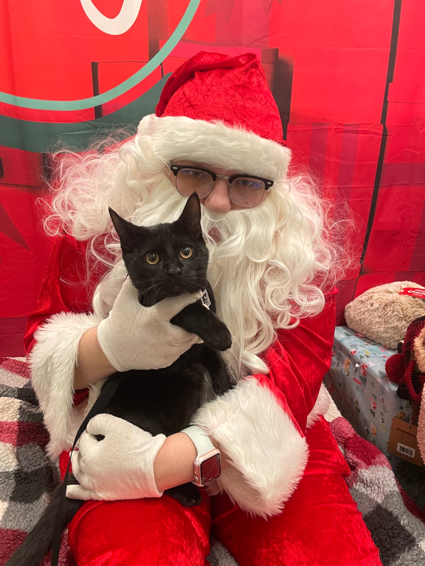 Salem held by Santa against a red backdrop